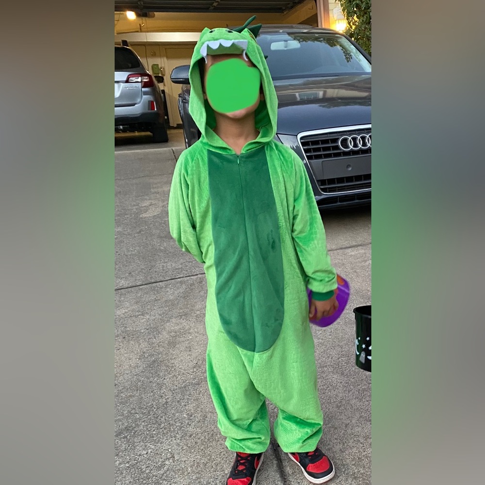 Green child’s dragon costume